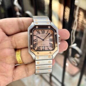 Cartier Santos de Premium Quality 113