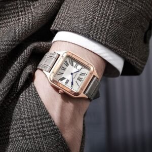 Cartier Santos-Dumont Limited Edition Premium Quality 137
