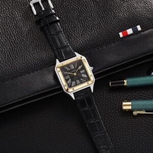 Cartier Santos-Dumont Limited Edition Premium Quality 139