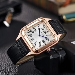 Cartier Santos-Dumont Limited Edition Premium Quality 141