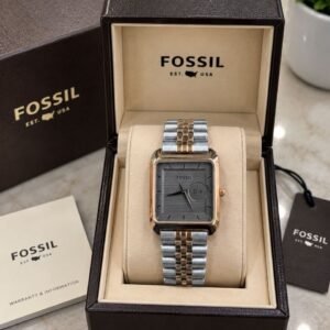 Fossil Dual Tone Grey Dial 7AA High Quality Men's Watch 233